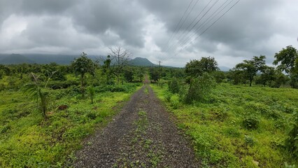A rural road in Maharashtra during the monsoon, surrounded by lush greenery under a cloudy sky.