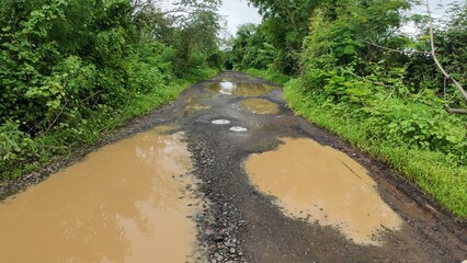 Rural Dirt Road with Puddles in Lush Green Countryside