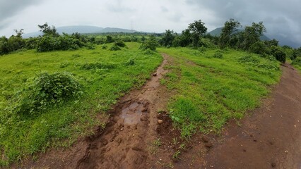 A serene meadow features a muddy path surrounded by lush greenery, all beneath a soft, cloudy sky.