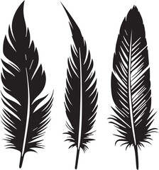 Bird Feather silhouette, black vector on white background