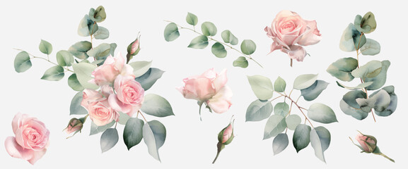 Watercolor painting of pink roses and eucalyptus branches on a white background.