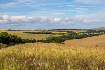 A view over fields in the South Downs in Sussex, on a summer's evening