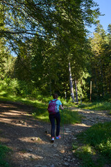 Fototapeta premium Woman hiker with backpack and poles on a trail