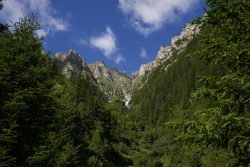 Obraz premium Forests on mountains landscape shot