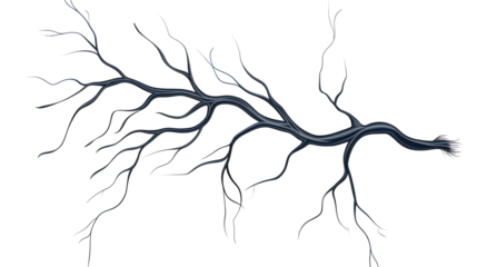 neuron on transparent background. vector illustration design element for your project. 