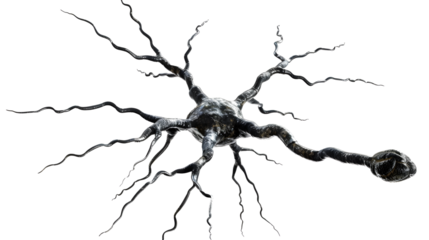 neuron isolated on transparent background. detailed photo