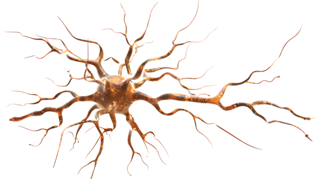 neuron isolated on transparent background. detailed photo