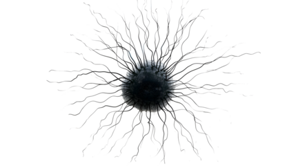 one brain cell on transparent background at center 