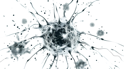 one brain cell on transparent background at center 