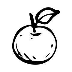 Apple hand drawn in doodle style. Sweet fruit from the apple tree. Farm grown products. Healthy food. Vitamins from the garden. Vector line art illustration.