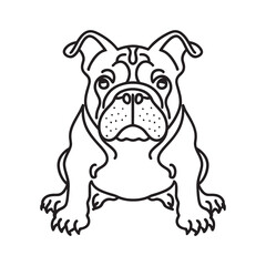 Bulldog vector illustration cute dog cartoon, adorable pet dog graphic, cartoon bulldog coloring page design