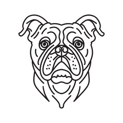 Bulldog vector illustration cute dog cartoon, adorable pet dog graphic, cartoon bulldog coloring page design