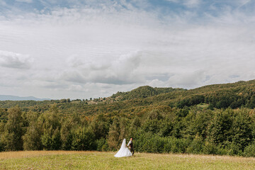 Fototapeta premium A bride and groom stand in a field with a beautiful view of the mountains in the background. The scene is serene and peaceful