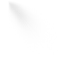 White glowing lights effects isolated on transparent background Sun flash with rays and spotlight Star burst