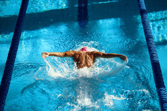 Overhead view swimmer in pink cap performs powerful butterfly stroke, his back muscles rippling with each stroke in clear blue pool. Concept of aquatic sport, preparation to competition, energy.