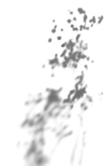 Shadow of plant design element