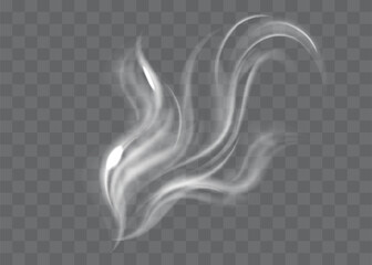 Smoke vector collection. White isolated cigarette smoke. Transparent special effect. Vector illustration.