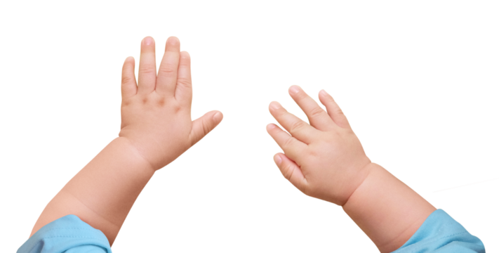 Png newborn baby hands sticker on transparent background