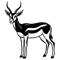 springbok vector art illustration vector illustration