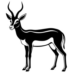 springbok vector art illustration vector illustration