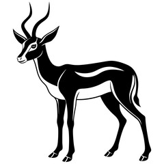 springbok vector art illustration vector illustration