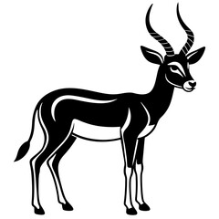 springbok vector art illustration vector illustration
