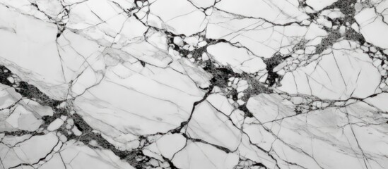 Obraz premium White Marble with Black Veins