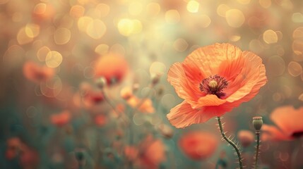 Obraz premium An upclose view of a vibrant poppy flower blooming in a picturesque field, enhanced by a vintagestyle blur effect