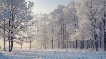 Obraz premium The winter forest landscape is a striking scene with snowcovered trees creating a serene and picturesque view
