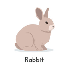 Rabbit vector illustration. Cute bunny rabbit cartoon clipart, animal in flat style. Farm animals concept, rural farming. Livestock animal small rabbit vector design isolated on white background