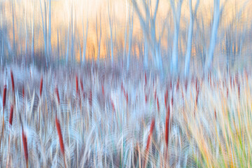 Abstract Impressionist Forest in Autumn