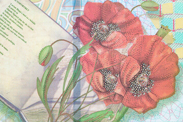 Closeup 200 Romanian Lei banknote
