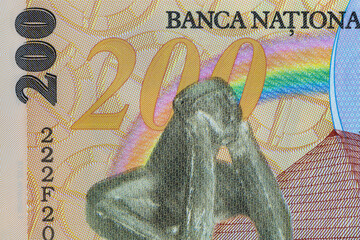 Closeup 200 Romanian Lei banknote