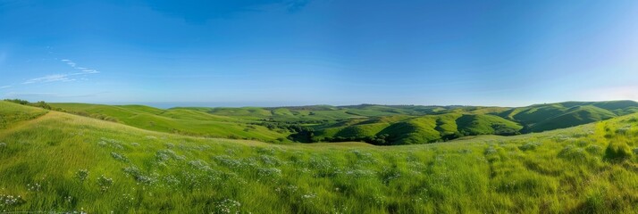 A panoramic view of rolling green hills under a clear blue sky with a few white clouds. The grassy landscape stretches out to the horizon