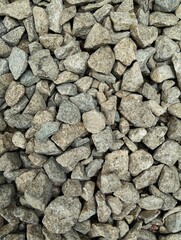 Coral stone wall texture