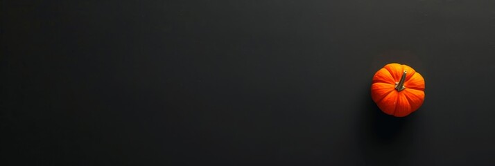 A single orange pumpkin sits on a black background. The pumpkin is a symbol of autumn, harvest, and Halloween. The black background provides a minimalist and elegant backdrop for the pumpkin, highligh