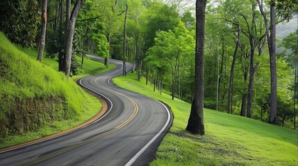 Fototapeta premium sloping service road, one lane, paved surface, green surroundings