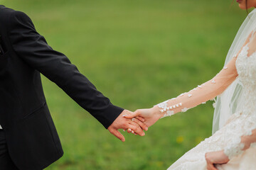 A man and woman are holding hands in a grassy field. The man is wearing a black suit and the woman is wearing a white wedding dress. The scene is likely a wedding or a special event