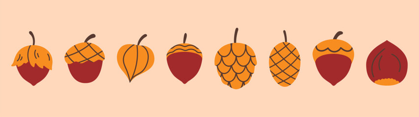 Set of autumn nuts, acorns, cones.  Autumn set of hand drawn cute cozy design elements. Fall, Thanksgiving Day, Autumn season.