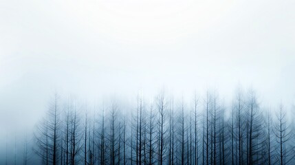 Fototapeta premium Winter nature, leafless tree, coniferous forest, boho style, minimalist, soft grunge texture