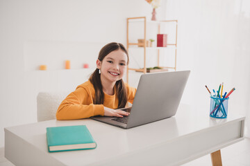 Portrait of smart schoolkid beaming smile study laptop desk white interior apartment indoors