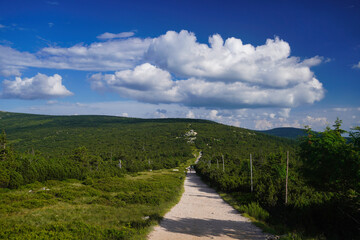 Red trail in the Karkonosze Mountains near the Szrenica peak.