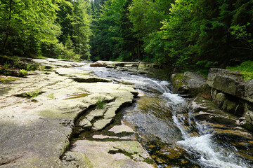 Obraz premium Beautiful mountain river Mumlava in the Czech Karkonosze Mountains.