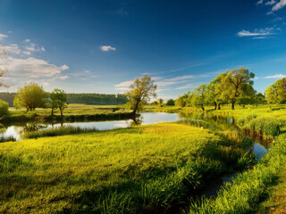 Obraz premium field with green farms and blue sky