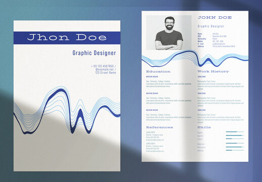 Professional Curriculum Vitae Layout