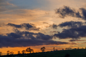 clouds, view, relaxation, tranquil, dawn, colorful, color, scenery, sunlight, landscape, travel, sunset, nature, summer, sunrise, silhouette, sky, beautiful, tree, sun, background, horizon, outdoor, o