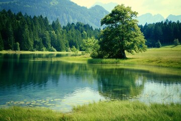 Old church in a field under a cloudy sky - film photo. Beautiful simple AI generated image in 4K, unique.
