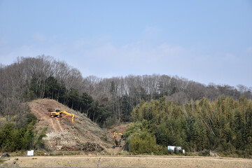 宅地造成のために伐採される丘の木々
