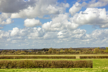 Cloudy blue sky with green countryside, bright sunny day