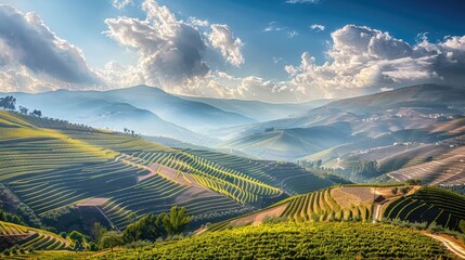 Fototapeta premium A picturesque scene of the vineyards and rolling hills of the Douro Valley in Portugal.